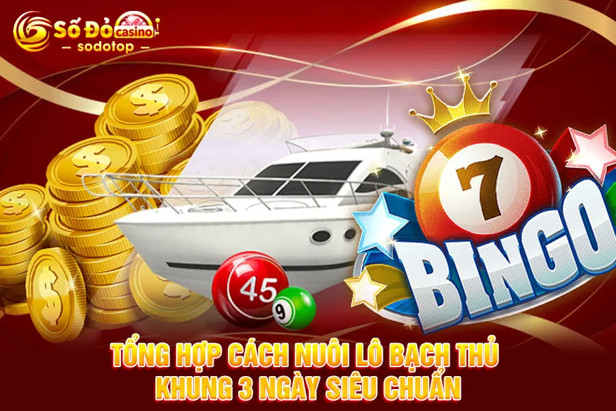 tổng-hợp-cách-nuôi-lô-bạch-thủ-khung-3-ngày-siêu-chuẩn