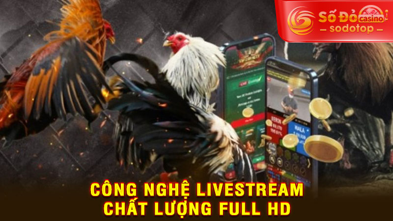 công nghệ livestream chất lượng full hd